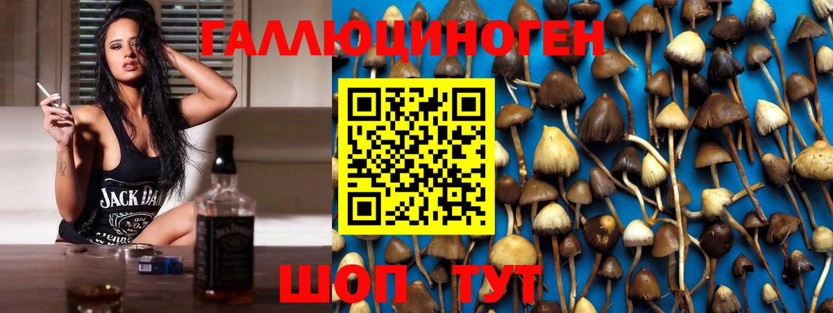 Псилоцибиновые грибы мухоморы Унеча